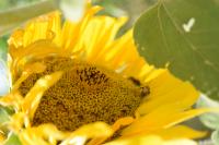 View photo in a new window