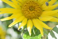 View photo in a new window