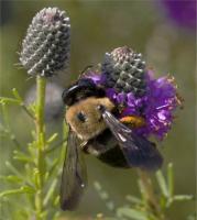 View photo in a new window