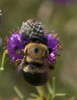 View photo in a new window