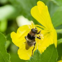 View photo in a new window