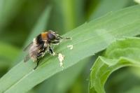 View photo in a new window