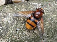 View photo in a new window