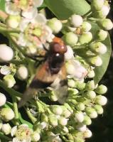 View photo in a new window