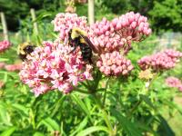 View photo in a new window