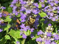 View photo in a new window