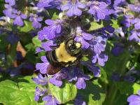 View photo in a new window