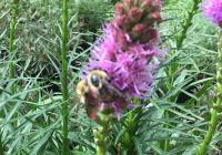 View photo in a new window