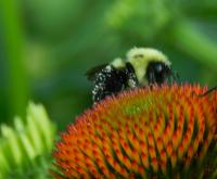 View photo in a new window