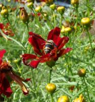 View photo in a new window