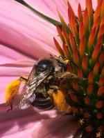 View photo in a new window