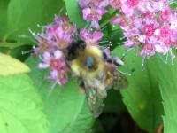 View photo in a new window