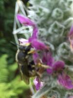 View photo in a new window