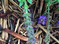 View photo in a new window