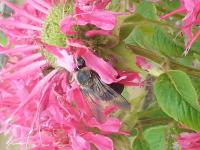 View photo in a new window