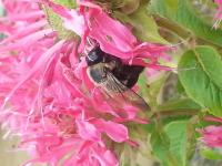 View photo in a new window