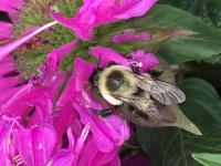 View photo in a new window