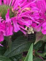 View photo in a new window