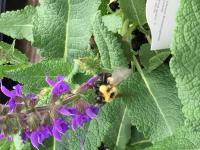 View photo in a new window