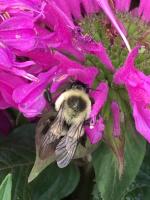 View photo in a new window