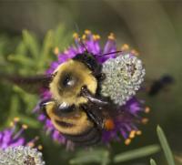 View photo in a new window