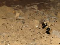 View photo in a new window