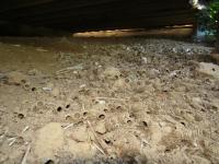 View photo in a new window