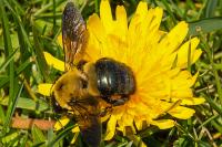 View photo in a new window