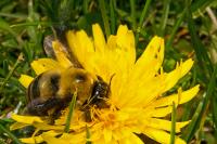 View photo in a new window