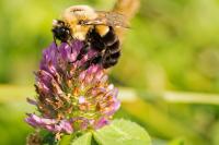 View photo in a new window