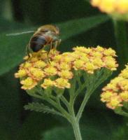 View photo in a new window