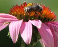 View photo in a new window