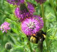 View photo in a new window