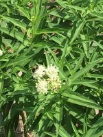 View photo in a new window