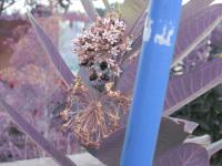 View photo in a new window