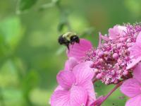 View photo in a new window