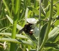 View photo in a new window