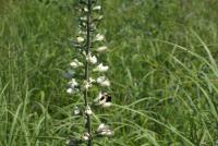 View photo in a new window