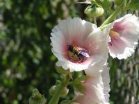 View photo in a new window