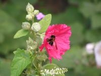 View photo in a new window