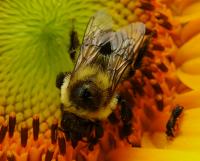 View photo in a new window