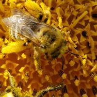 View photo in a new window