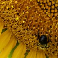 View photo in a new window