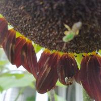 View photo in a new window