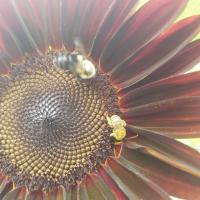 View photo in a new window