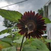 View photo in a new window