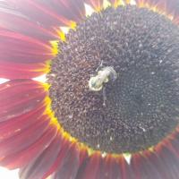 View photo in a new window