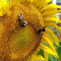 View photo in a new window