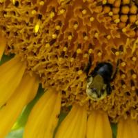 View photo in a new window