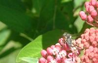 View photo in a new window